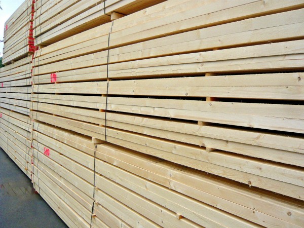 Produktbild von 10x FICHTE TANNE 2,4x20cm Schalung HOLZ Bauholz Sichtschutz Länge 200cm