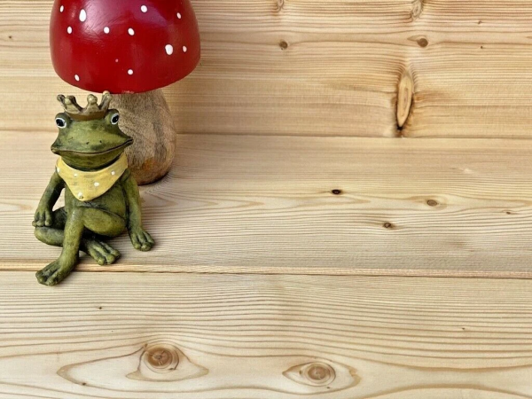 Douglasie Terrassendiele glatt/glatt 26 x 140 mm B-Sortierung